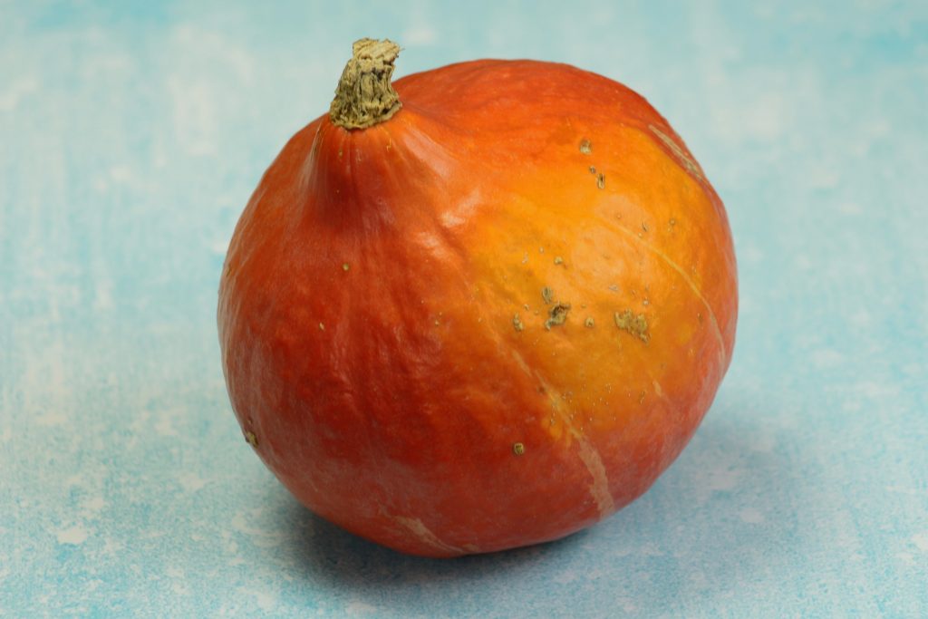 Kürbis auf einem blauen Hintergrund